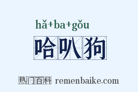哈叭狗是什么意思的图片